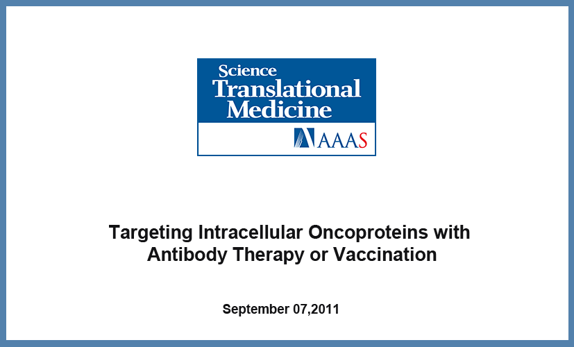 Targeting intracellular oncoproteins with antibody therapy and vaccination