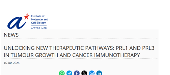 Unlocking New Therapeutic Pathways: PRL1 and PRL3 in Tumour Growth and Cancer Immunotherapy