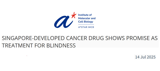 Singapore-Developed Cancer Drug Shows Promise as Treatment for Blindness