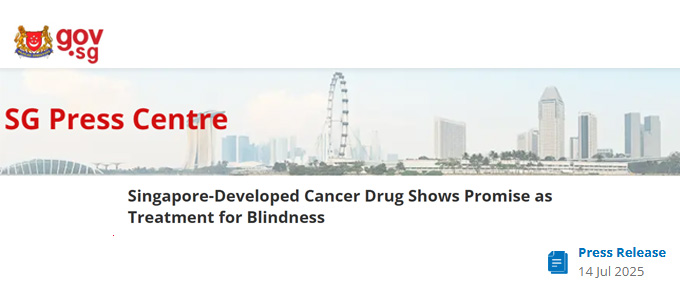 Singapore-Developed Cancer Drug Shows Promise as Treatment for Blindness